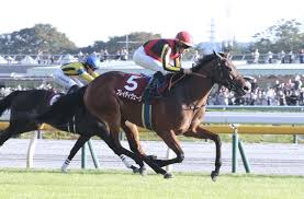 府中牝馬ステークス: 競馬ファン必見の秋の一戦